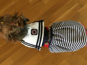 Ekskluzīva jūras  kleita-krūšu siksnīņa suņitīm,S